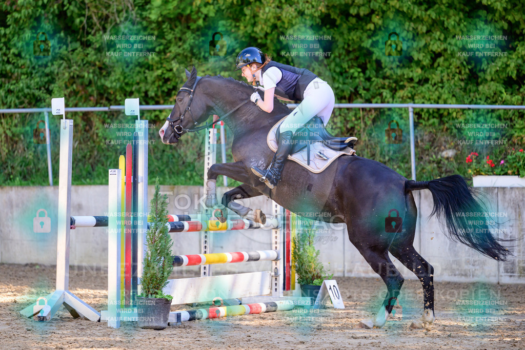 29082026-Giesenbach-Prfg10-0248 | Fokus Hufschlag Fotografie - Realisiert mit Pictrs.com