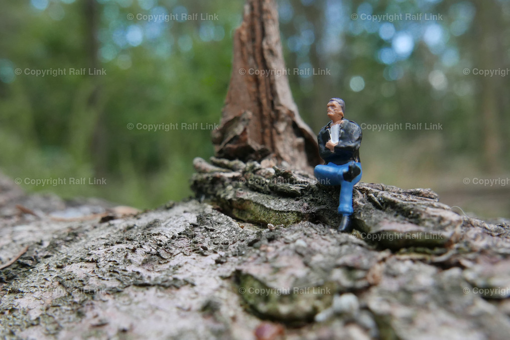auf Stamm sitztend | Stockfotos, Fotos mit Miniaturfiguren und kreativen Ideen. Dabei auch vieles aus der Metropolregion Rhein-Neckar. 