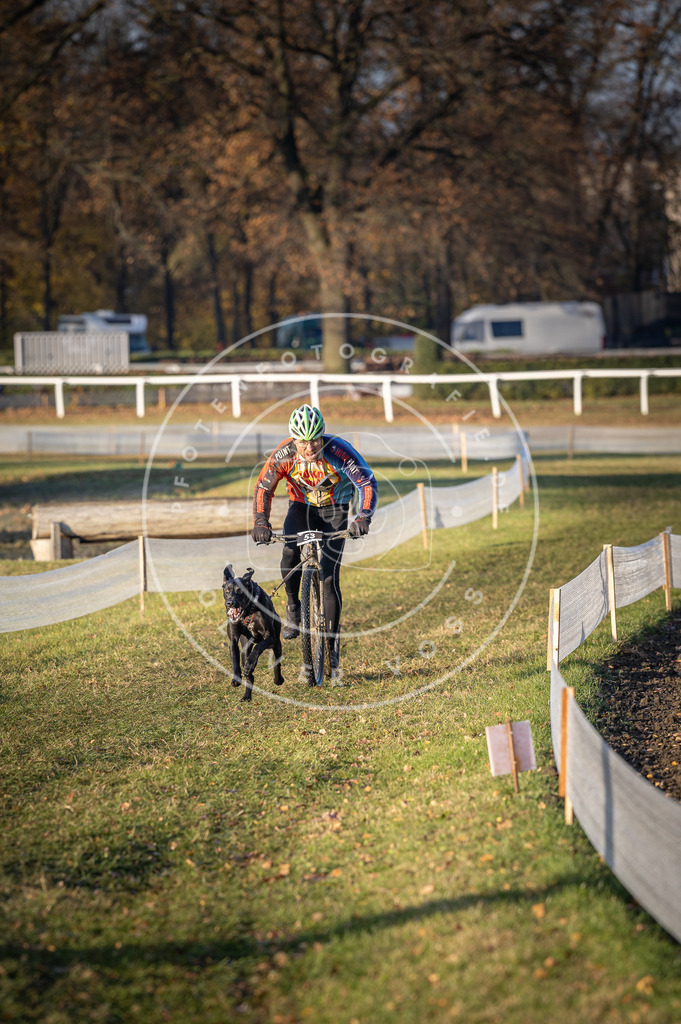 CaniXpix_DV3A0607 | Hundefotografie, Tierfotograf, Pfotenfotografie, Fotoshooting Hund, Hunde Portrait, Hundesport, Hundeportraits, Heideshooting, Hunde, Sportfotograf, Hundefotograf, Turnierhundsport, THS,  - Realisiert mit Pictrs.com
