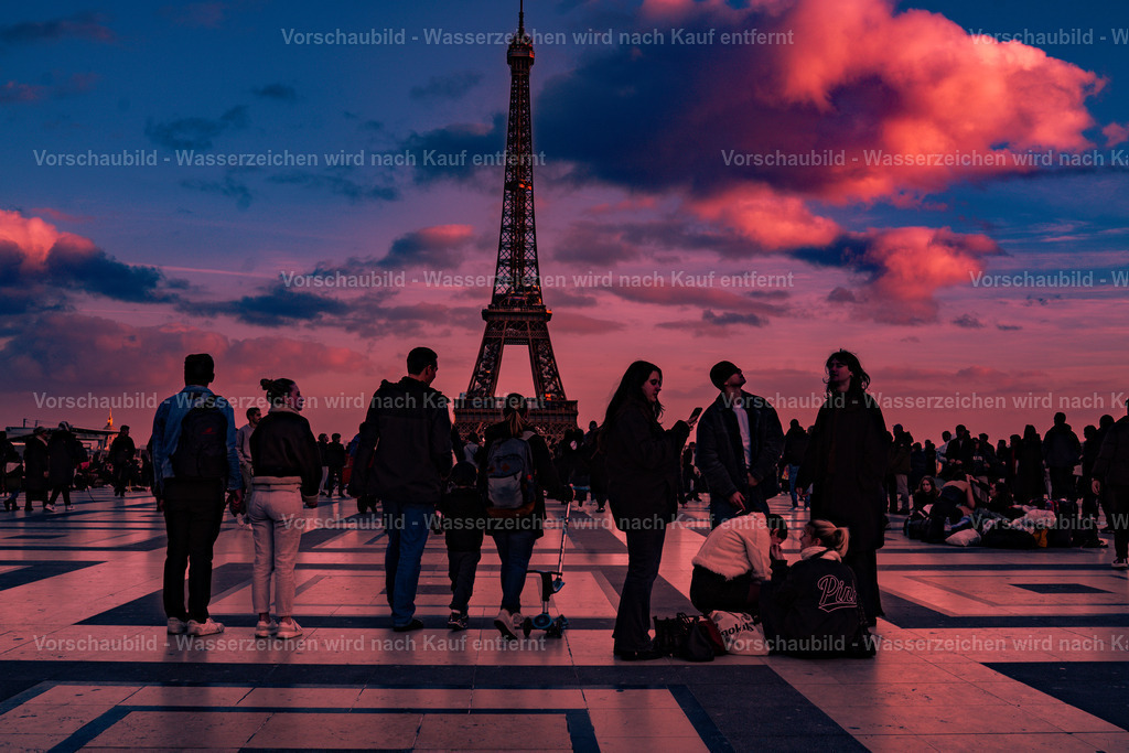 DSC09301 | marcuslinek