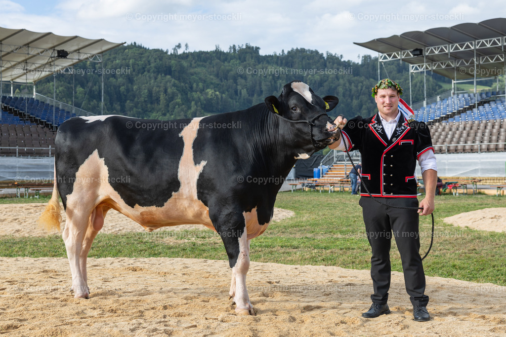 R3_16330 | meyer-stoeckli