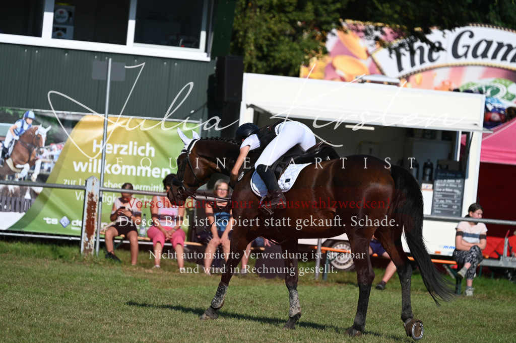 DSC_4942 | Pferde- und Turnierfotografie in Westsachsen. Pferdeportraits, Auftragszeichnungen und intuitive Kunst.