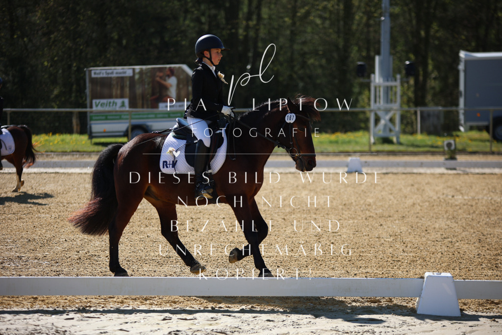 IMGT9652 | pl-fotografie