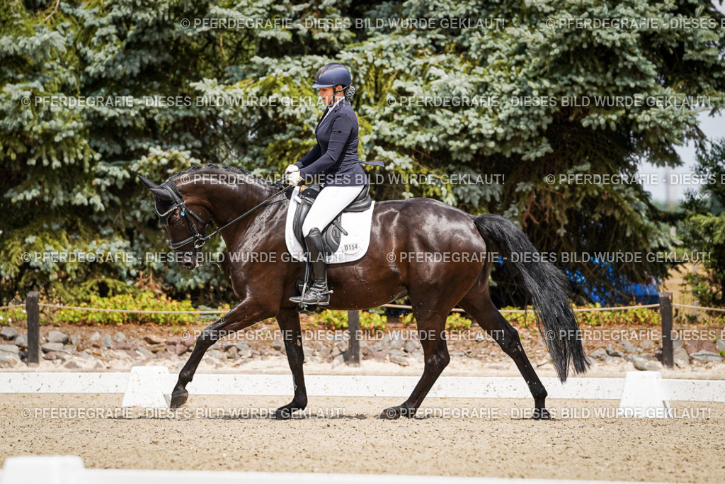 DSC02710 | Pferdegrafie