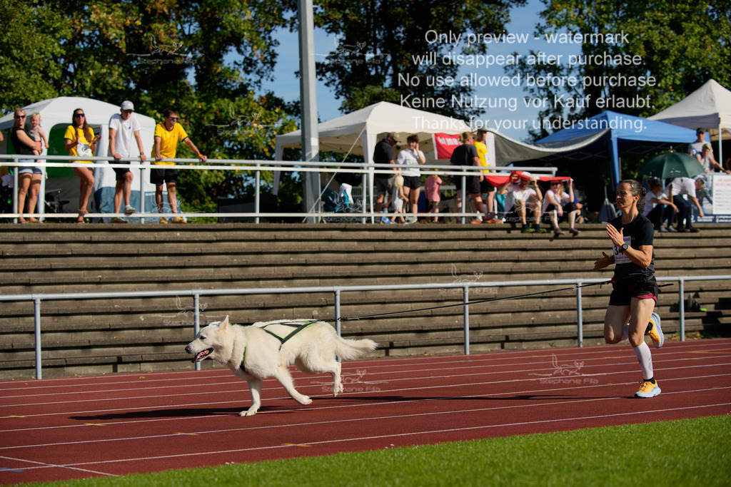 Sonntag_Staffel (116 von 336) | stephaniefillaphotographie - Realisiert mit Pictrs.com