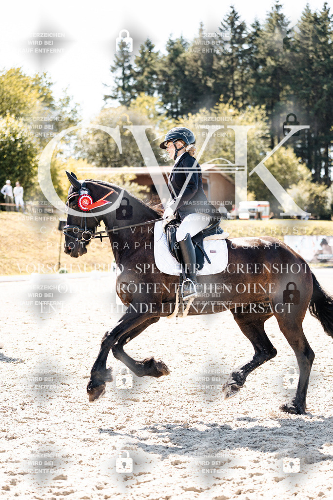CK904226 | Turnierfotografie Pferdefotografie Trier Rheinland-Pfalz Pferdesport Reitsport Tierfotografie Sportfotografie Pferdevideo Pferdevideografie Equestrianvideography equestrianphotography  - Realisiert mit Pictrs.com