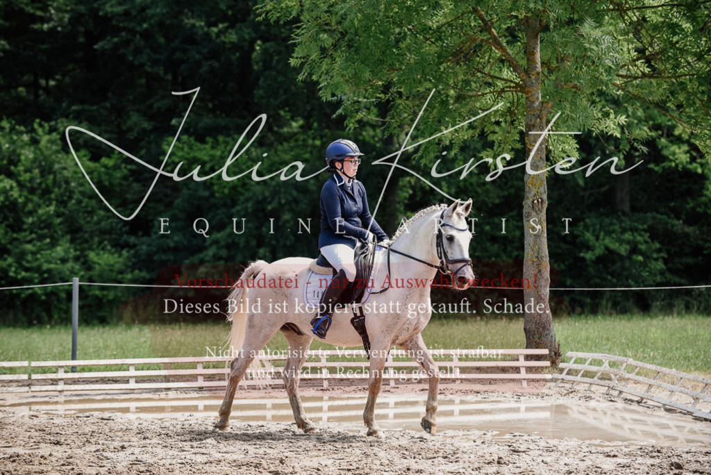 DSC_1812 | Pferde- und Turnierfotografie in Westsachsen. Pferdeportraits, Auftragszeichnungen und intuitive Kunst.