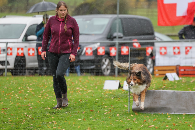 2025_Rally_Obedience_SM-176 | Ich fotografiere Hundeausstellungen, Sportanlässe, Zuchtstätten, Hundezucht, Hundeportrait, Lagotto - Realisiert mit Pictrs.com