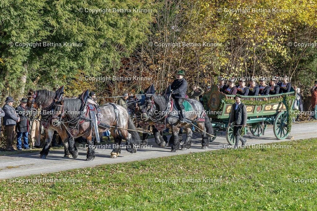 LBT25-518 | foto-bettina-krinner - Realisiert mit Pictrs.com