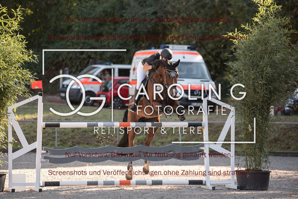 DSC_7781 | Turnierfotografin Carolin Gieschke, Turnierfotografie Carolin G Fotografie, Turnierfotos Kirchheim/Teck, Esslingen, Stuttgart, Bodenseekreis