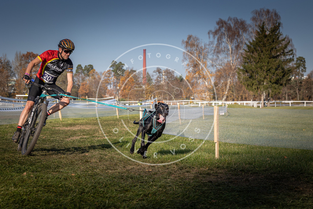 CaniXpix_0L8A6819 | Hundefotografie, Tierfotograf, Pfotenfotografie, Fotoshooting Hund, Hunde Portrait, Hundesport, Hundeportraits, Heideshooting, Hunde, Sportfotograf, Hundefotograf, Turnierhundsport, THS,  - Realisiert mit Pictrs.com