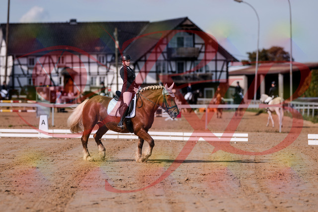 2026_10_03_Siefer-Hof_114047_Z81_83290471 | Professionelle Reitsport-, Turnier- und Eventfotografie von Robert Broda. Galerien mit ausgewählten und bearbeiteten Bildern direkt online ansehen und bestellen.