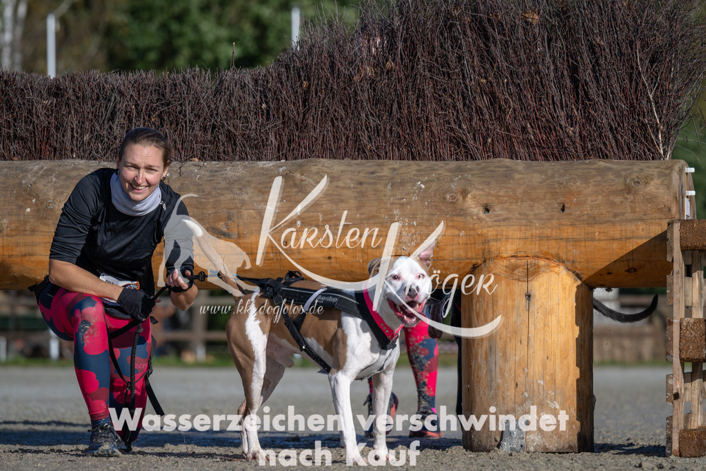 1050-_ZZ92933 | kk-dogfotos