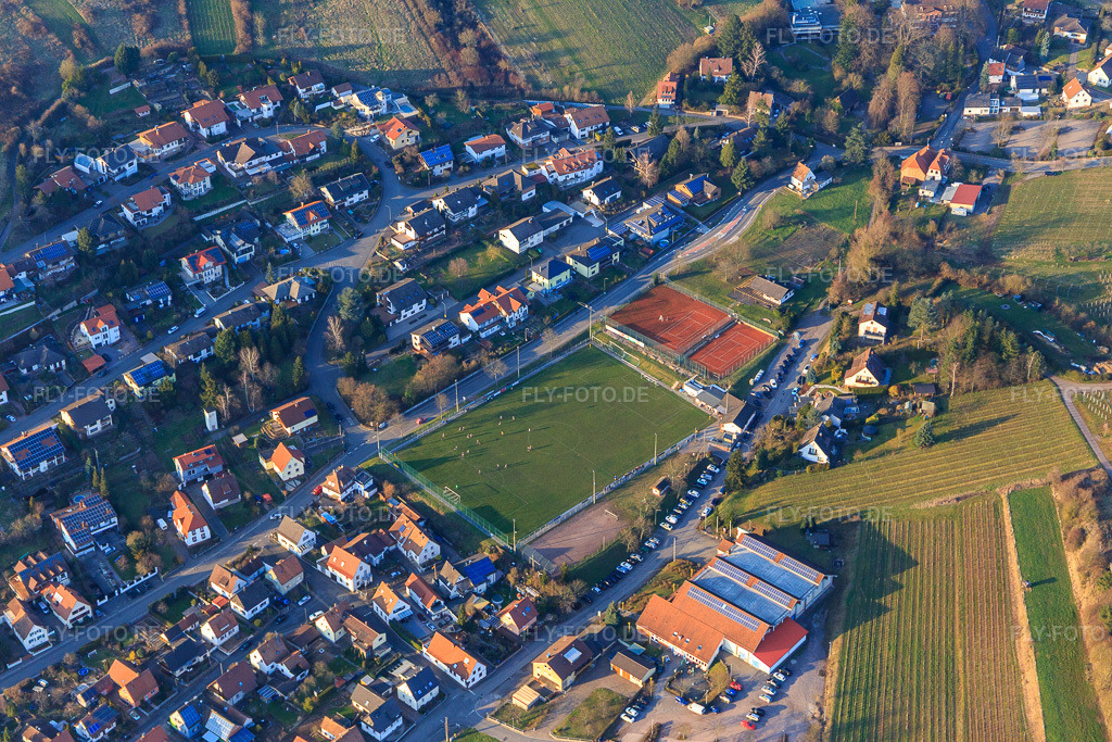 Luftbild: Löwensteinhalle am Fußballplatz des TuS Albersweiler 1982 e.V. in Albersweiler im Bundesland Rheinland-Pfalz in Deutschland. Foto: IMG_105129.jpg vom 24.03.2018 durch Werner Riehm/FLY-FOTO.deWWW.TTV-ALBERSWEILER.DE