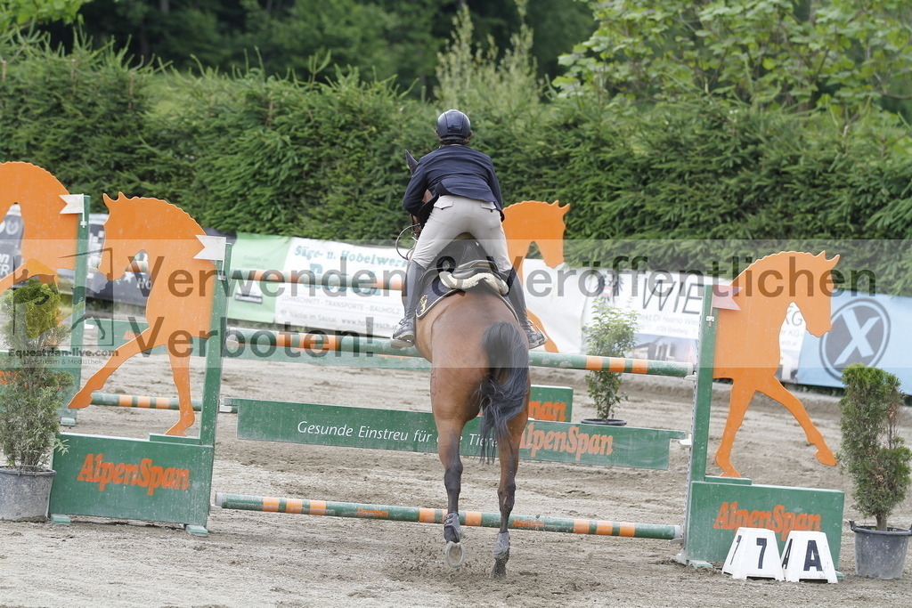_MG_5319 | equestrian-live-com