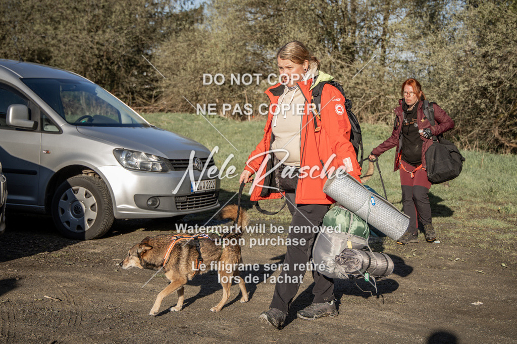 NR__0436-2 | nelerasche