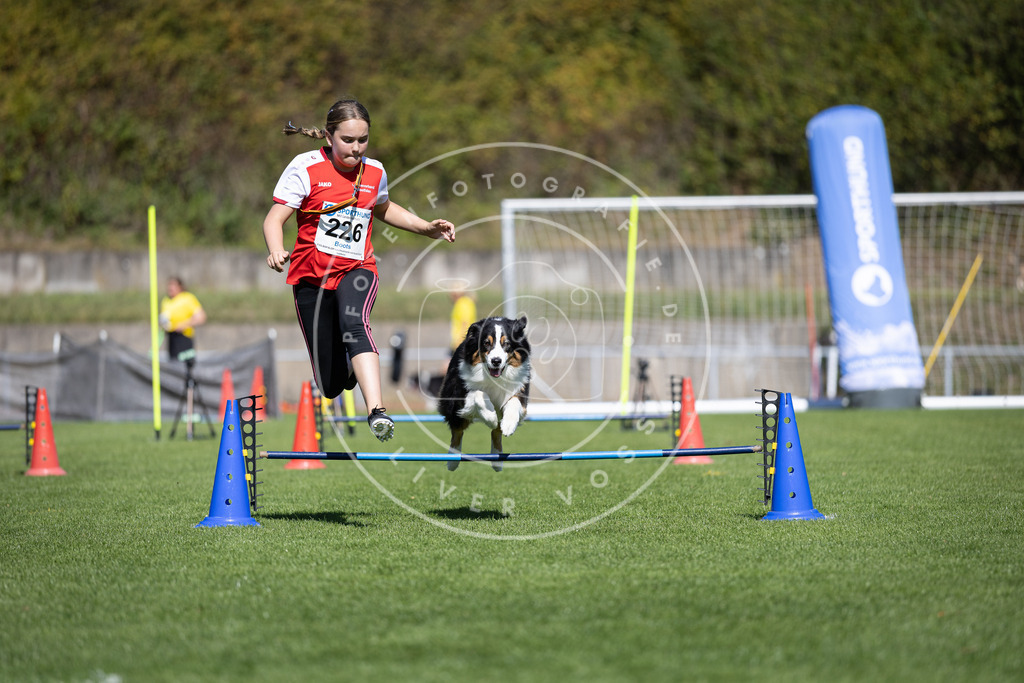 Pfotenfotografie_DV3A5601 | Hundefotografie, Tierfotograf, Pfotenfotografie, Fotoshooting Hund, Hunde Portrait, Hundesport, Hundeportraits, Heideshooting, Hunde, Sportfotograf, Hundefotograf, Turnierhundsport, THS,  - Realisiert mit Pictrs.com