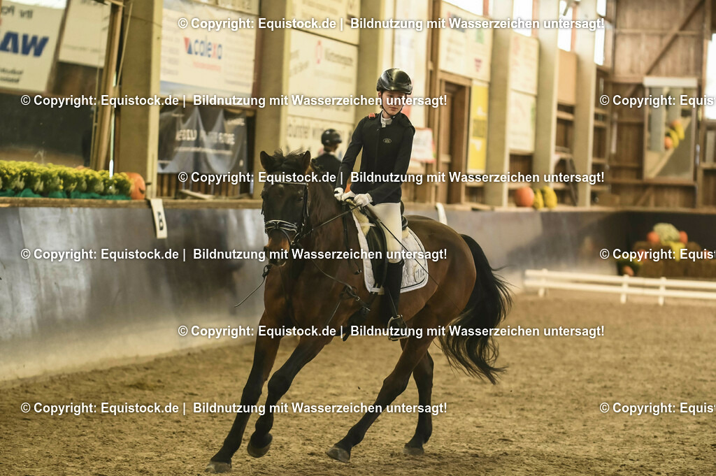 20231029_02_Reiter-WB_Schritt-Trab-Galopp_Abteilung-02_0035 | Foto: Thomas Hartig