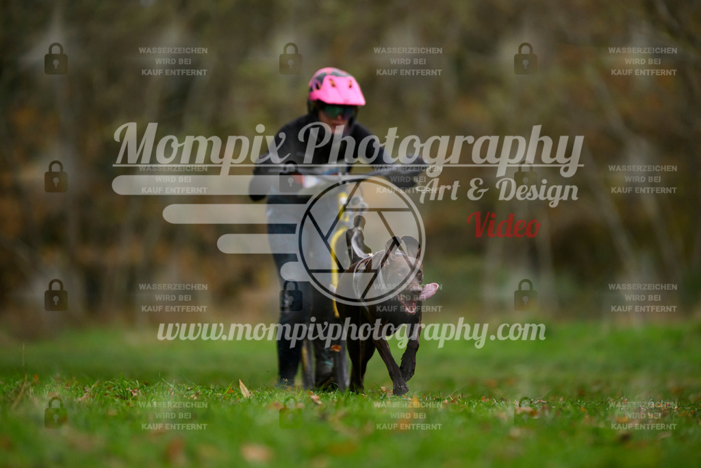 MompixPhotography_Bischwiller24_SA_DS1-31 | PayLife