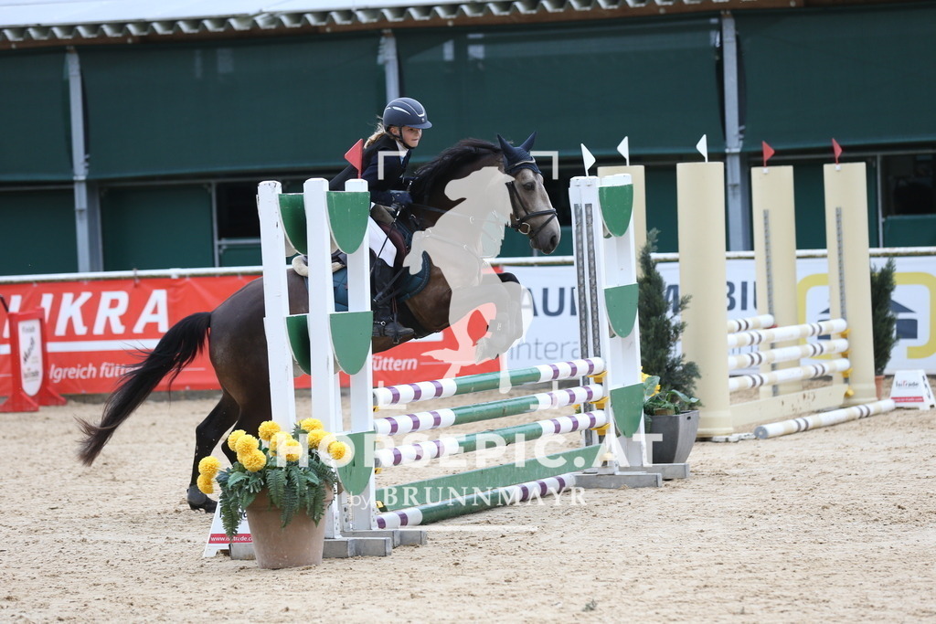 DL2Q4527 | Willkommen bei Brunnmayr - Design & Fotografie – Ihrem Spezialisten für Reitturniere und Pferdeveranstaltungen in Oberösterreich, Salzburg und Bayern! Seit über 17 Jahren sind wir leidenschaftlich dabei.