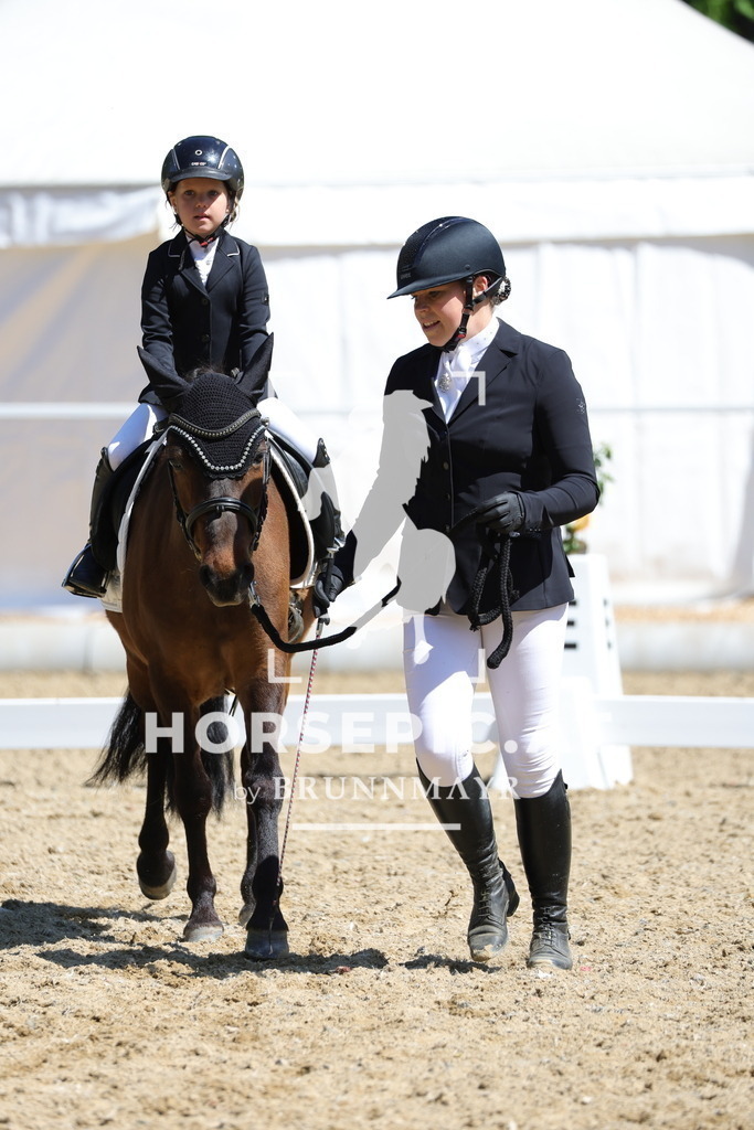 0P6A0267 | Willkommen bei Brunnmayr - Design & Fotografie – Ihrem Spezialisten für Reitturniere und Pferdeveranstaltungen in Oberösterreich, Salzburg und Bayern! Seit über 17 Jahren sind wir leidenschaftlich dabei.