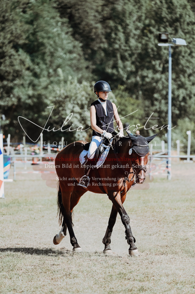 DSC_9566 | Pferde- und Turnierfotografie in Westsachsen. Pferdeportraits, Auftragszeichnungen und intuitive Kunst.