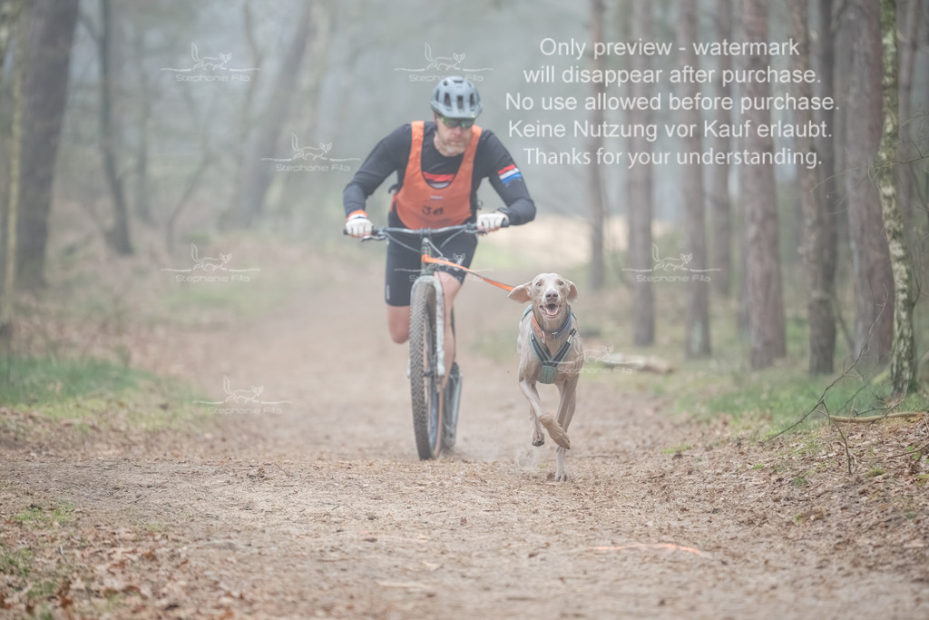 Scooter1-116 | stephaniefillaphotographie - Realisiert mit Pictrs.com