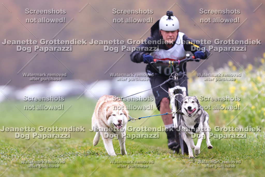 Dog Paparazzi - Visbeck 25 -117 | Dog Paparazzi Jeanette Grottendiek Fotografie & Videografie - Realisiert mit Pictrs.com