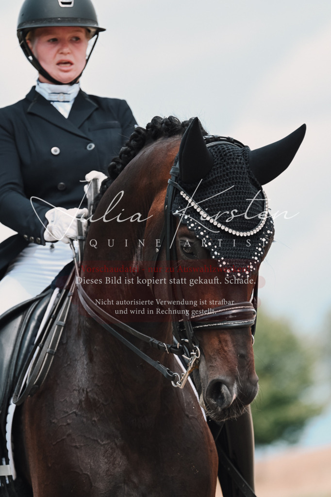 DSC_4336-2 | Pferde- und Turnierfotografie in Westsachsen. Pferdeportraits, Auftragszeichnungen und intuitive Kunst.