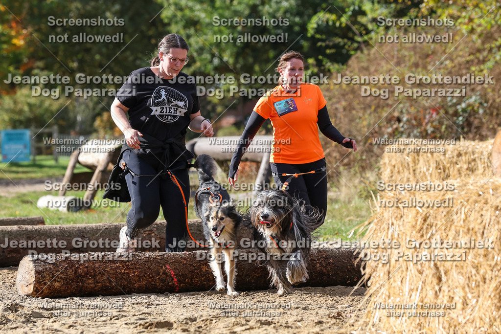 Dog Paparazzi - Strongdog 10-25-4997 | Dog Paparazzi Jeanette Grottendiek Fotografie & Videografie - Realisiert mit Pictrs.com