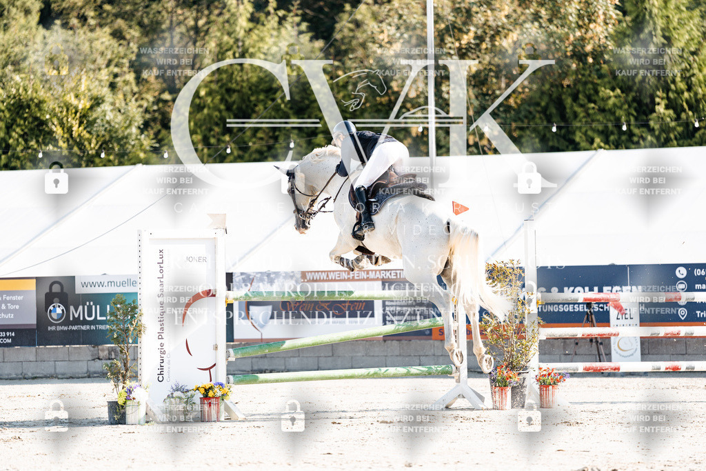 CK901597 | Turnierfotografie Pferdefotografie Trier Rheinland-Pfalz Pferdesport Reitsport Tierfotografie Sportfotografie Pferdevideo Pferdevideografie Equestrianvideography equestrianphotography  - Realisiert mit Pictrs.com