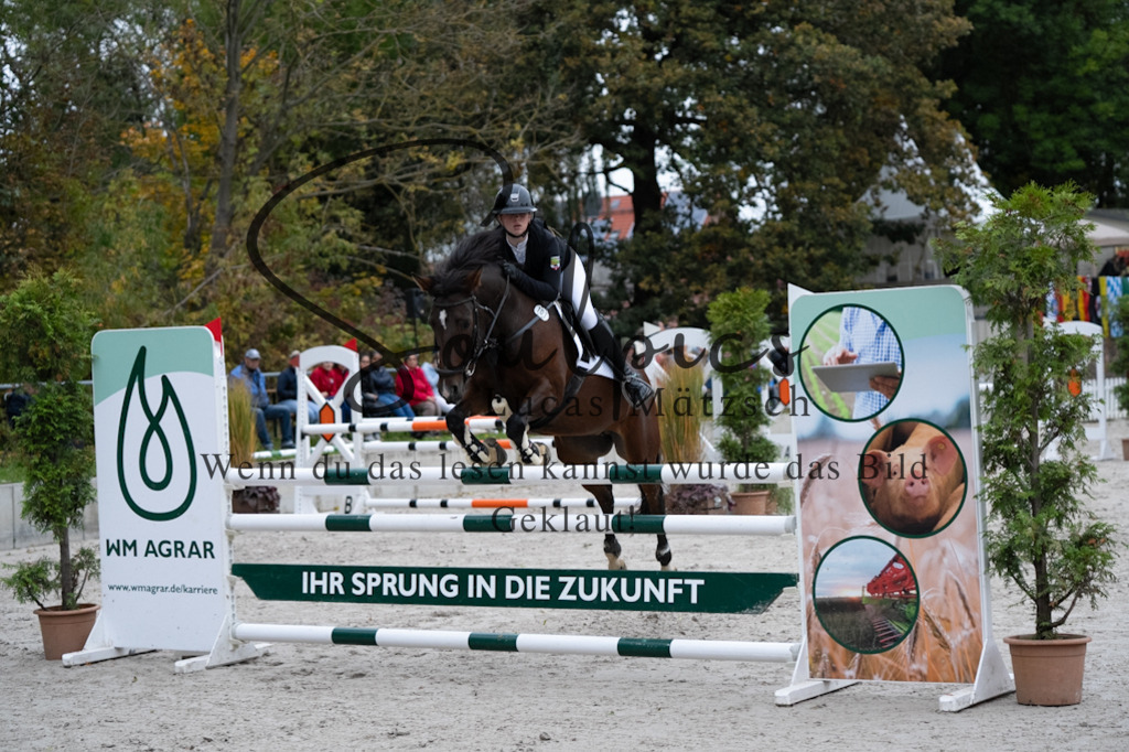 A7V08710 | Turnier/Reitfotograf