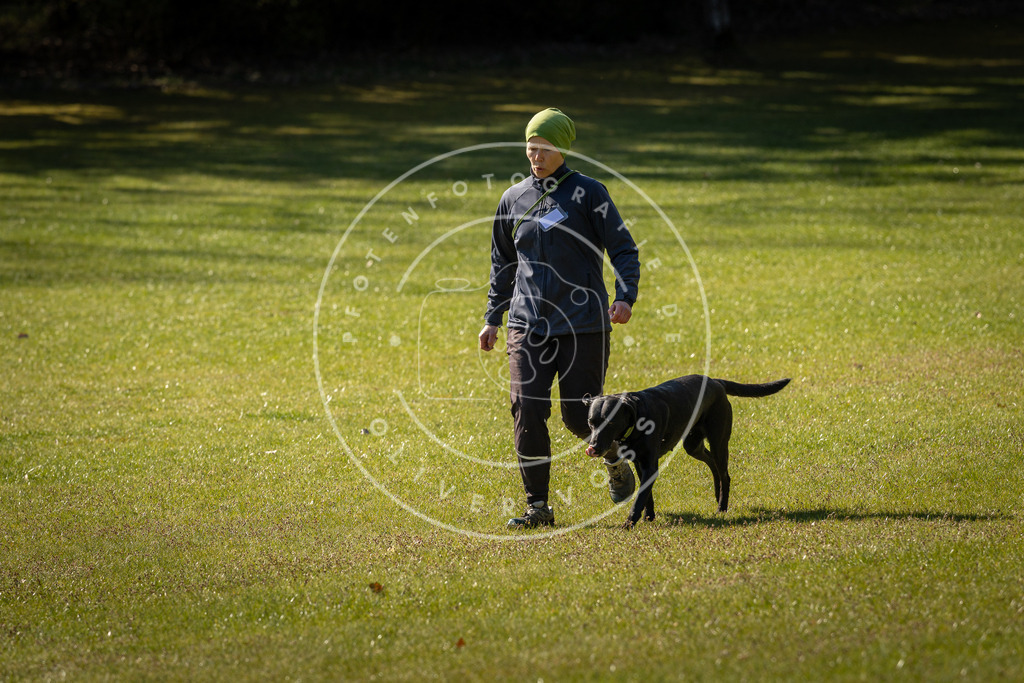 Pfotenfotografie_DV3A0318 | Hundefotografie, Tierfotograf, Pfotenfotografie, Fotoshooting Hund, Hunde Portrait, Hundesport, Hundeportraits, Heideshooting, Hunde, Sportfotograf, Hundefotograf, Turnierhundsport, THS,  - Realisiert mit Pictrs.com