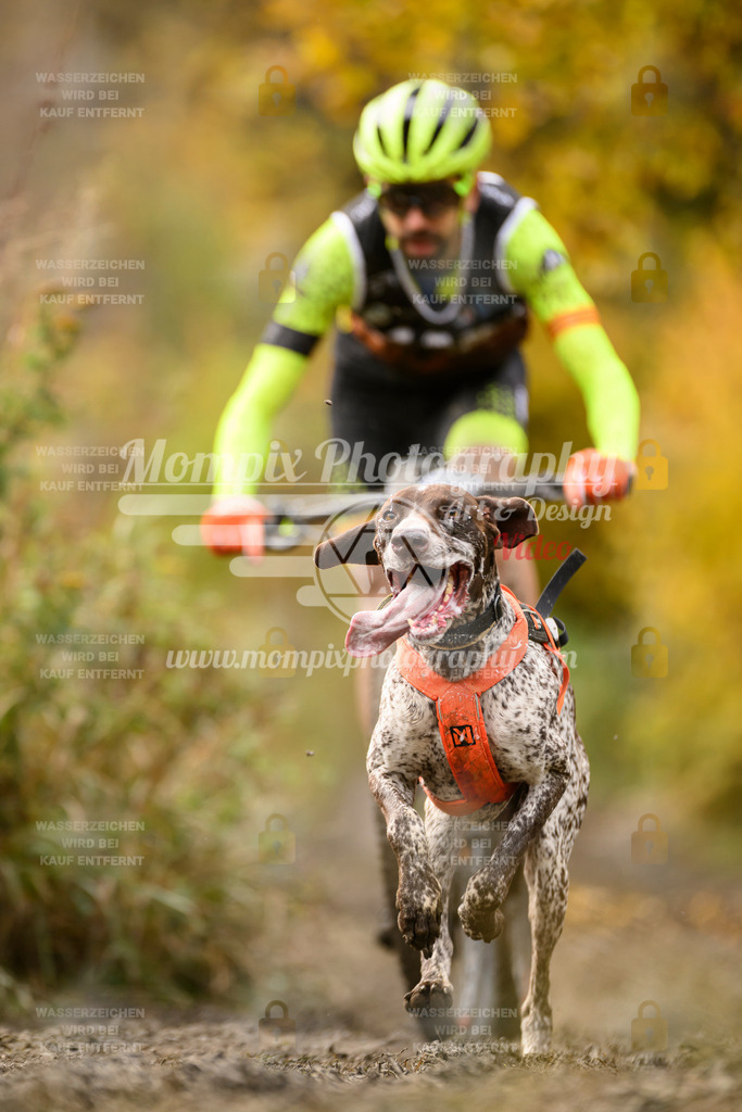 MompixPhotography_ICF_WC_2024_SA_Bike_-176 | PayLife