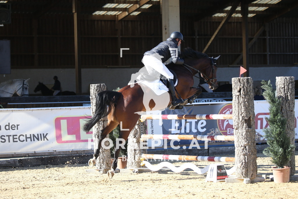 DL2Q3664 | Willkommen bei Brunnmayr - Design & Fotografie – Ihrem Spezialisten für Reitturniere und Pferdeveranstaltungen in Oberösterreich, Salzburg und Bayern! Seit über 17 Jahren sind wir leidenschaftlich dabei.