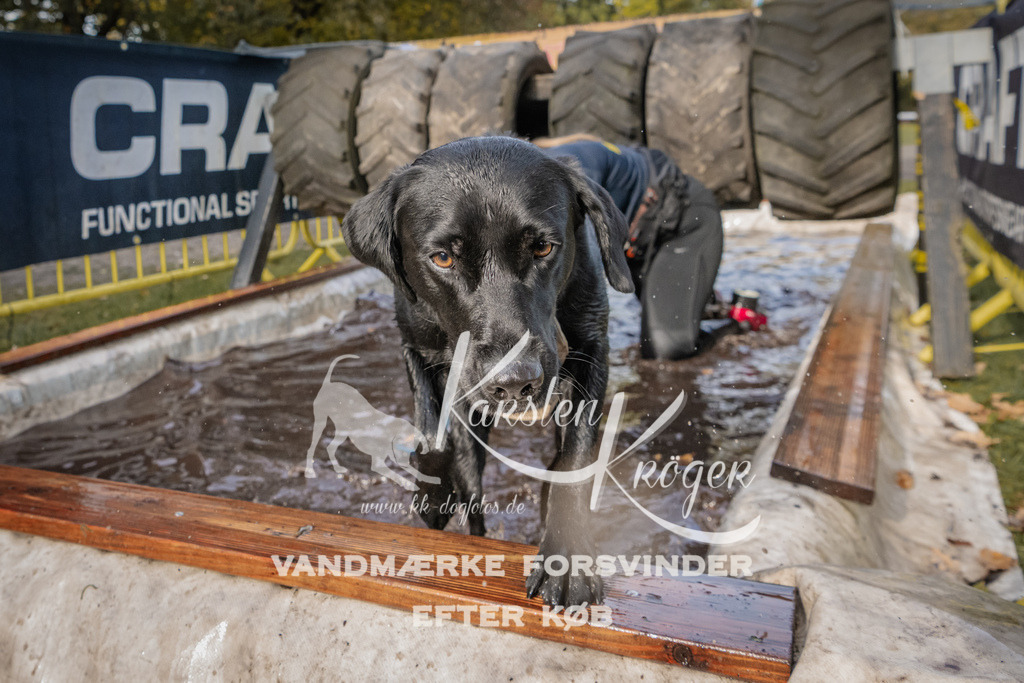 1422_ZZ94389 | kk-dogfotos