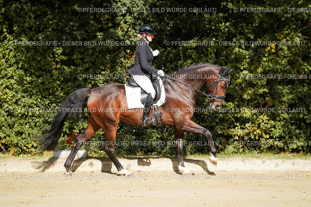 DSC07751 | Pferdegrafie