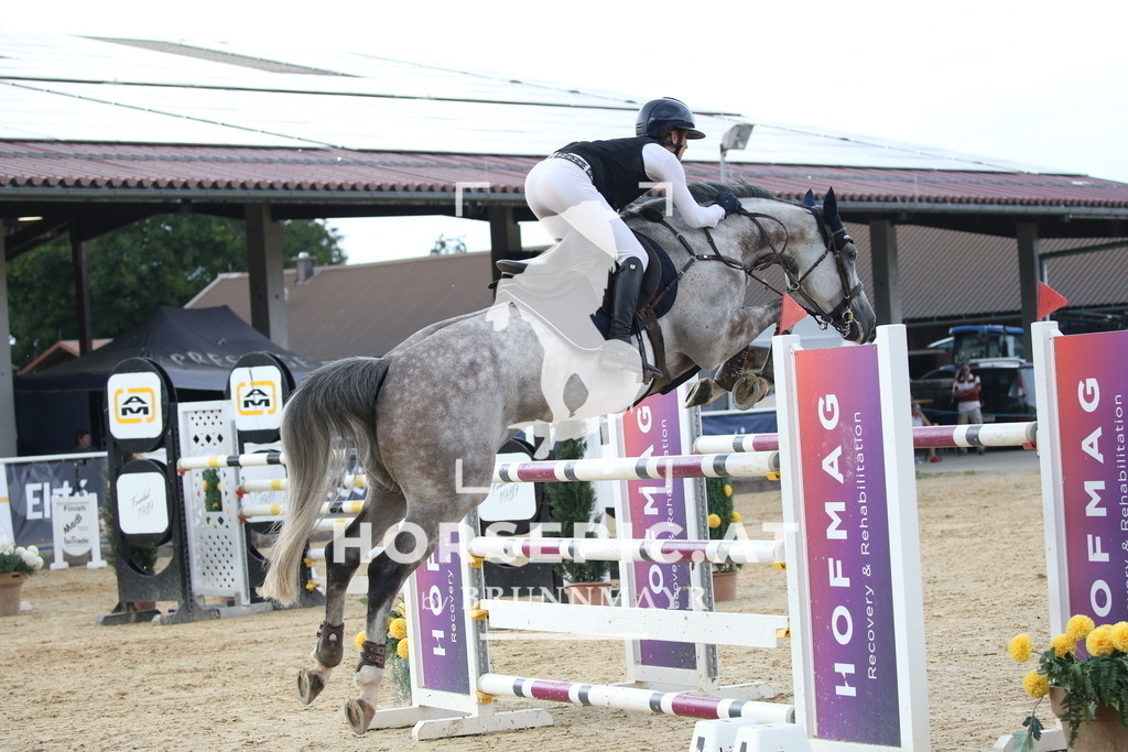 DL2Q5123 | Willkommen bei Brunnmayr - Design & Fotografie – Ihrem Spezialisten für Reitturniere und Pferdeveranstaltungen in Oberösterreich, Salzburg und Bayern! Seit über 17 Jahren sind wir leidenschaftlich dabei.