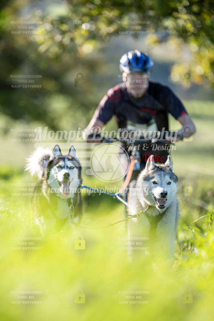 MompixPhotography_20TSB_E3_DS2-49 | PayLife