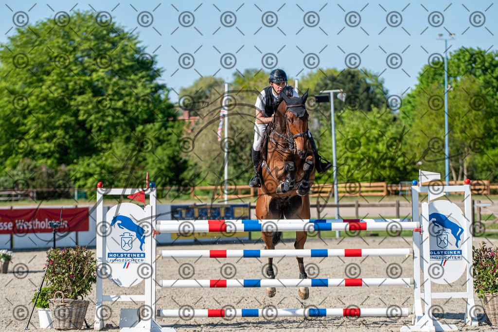 KPT_1884 | andre_photographic