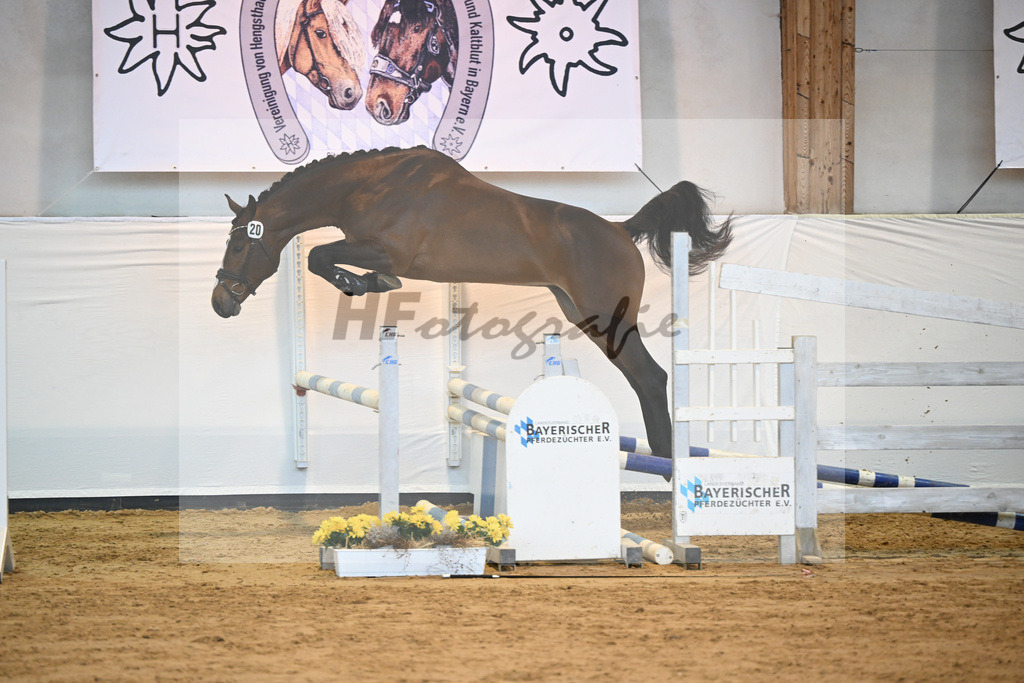 Kat-Nr. 20 v. Million Dollar_Eisenrieder_2230440 | hf-fotografie - Realisiert mit Pictrs.com