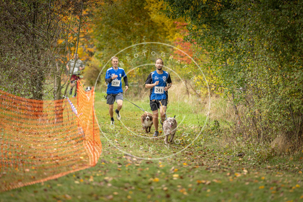 Pfotenfotografie_DV3A4280 | Hundefotografie, Tierfotograf, Pfotenfotografie, Fotoshooting Hund, Hunde Portrait, Hundesport, Hundeportraits, Heideshooting, Hunde, Sportfotograf, Hundefotograf, Turnierhundsport, THS,  - Realisiert mit Pictrs.com