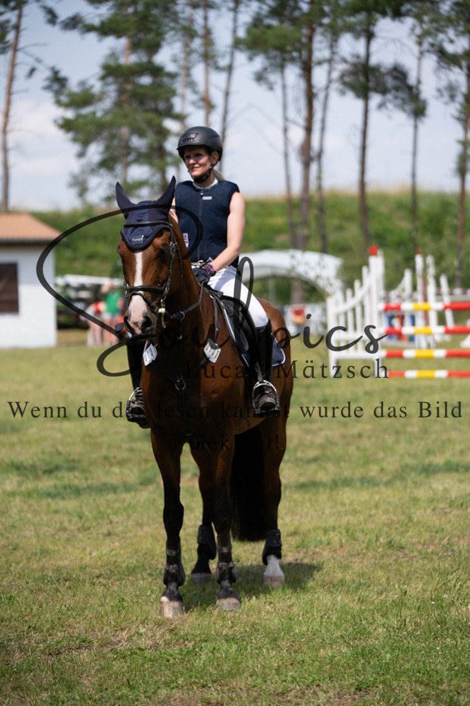 A7V07365 | Pferdefotograf