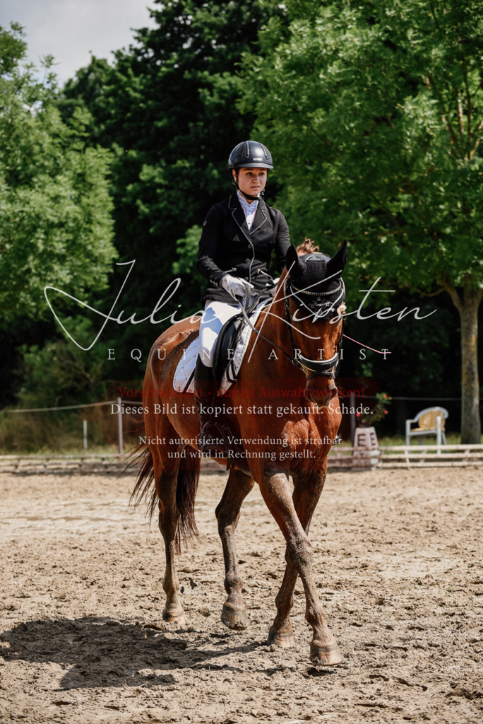 DSC_1383 | Pferde- und Turnierfotografie in Westsachsen. Pferdeportraits, Auftragszeichnungen und intuitive Kunst.