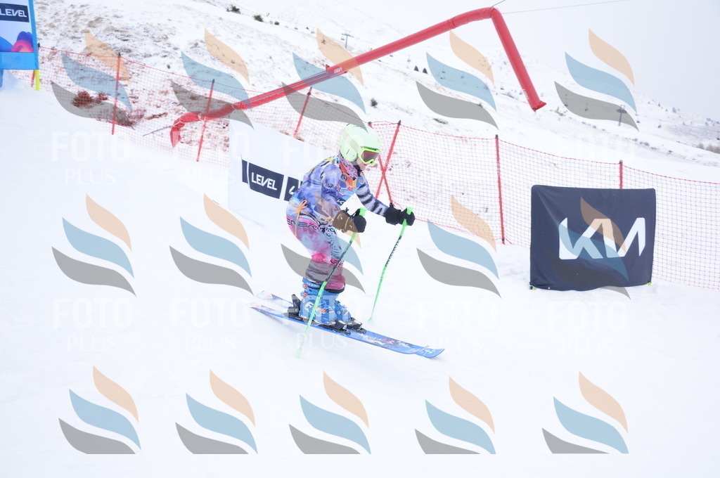 DSC_8363 | holidayphoto