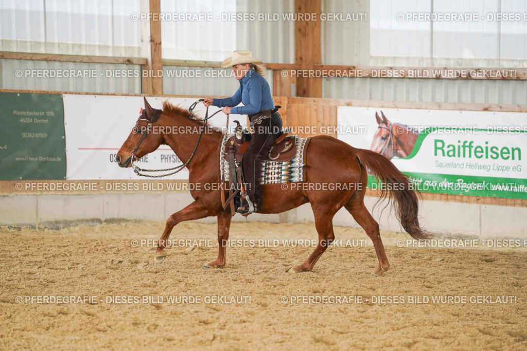 DSC01694 | Pferdegrafie