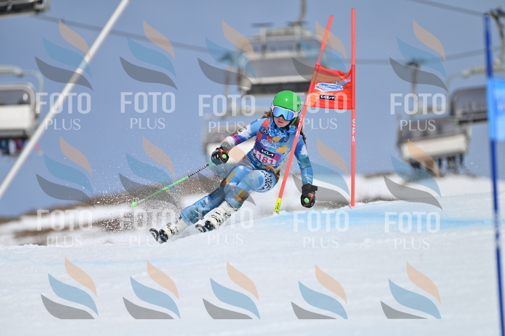 BGV_0624 | holidayphoto