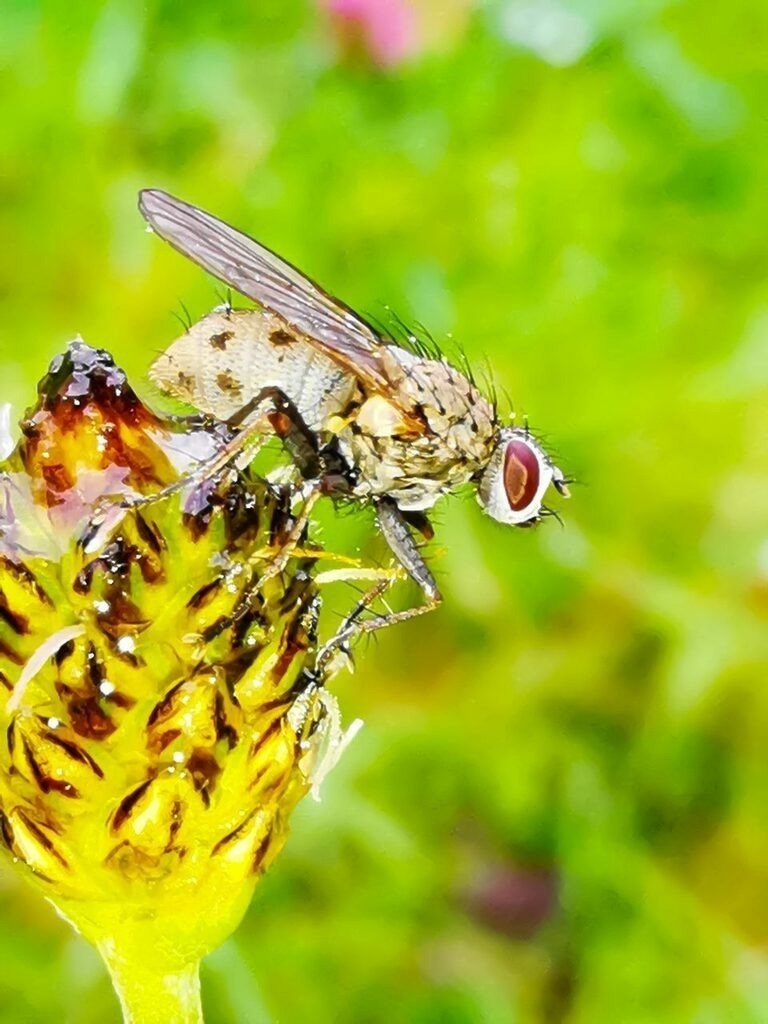 PSX_20220930_225218 | mtkfoto_ - Realisiert mit Pictrs.com