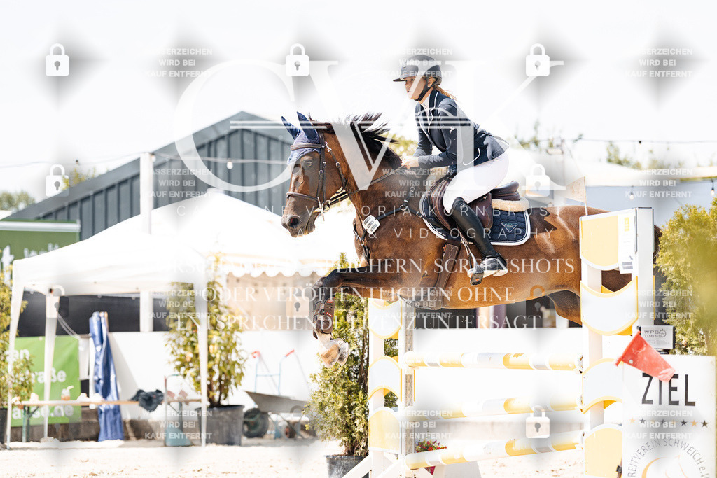 CK907702 | Turnierfotografie Pferdefotografie Trier Rheinland-Pfalz Pferdesport Reitsport Tierfotografie Sportfotografie Pferdevideo Pferdevideografie Equestrianvideography equestrianphotography  - Realisiert mit Pictrs.com