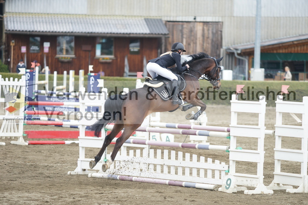 DSC01156 | equestrian-live-com